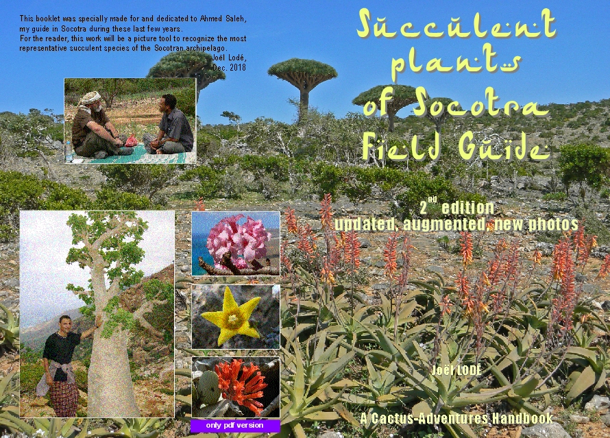 Socotra Handbook