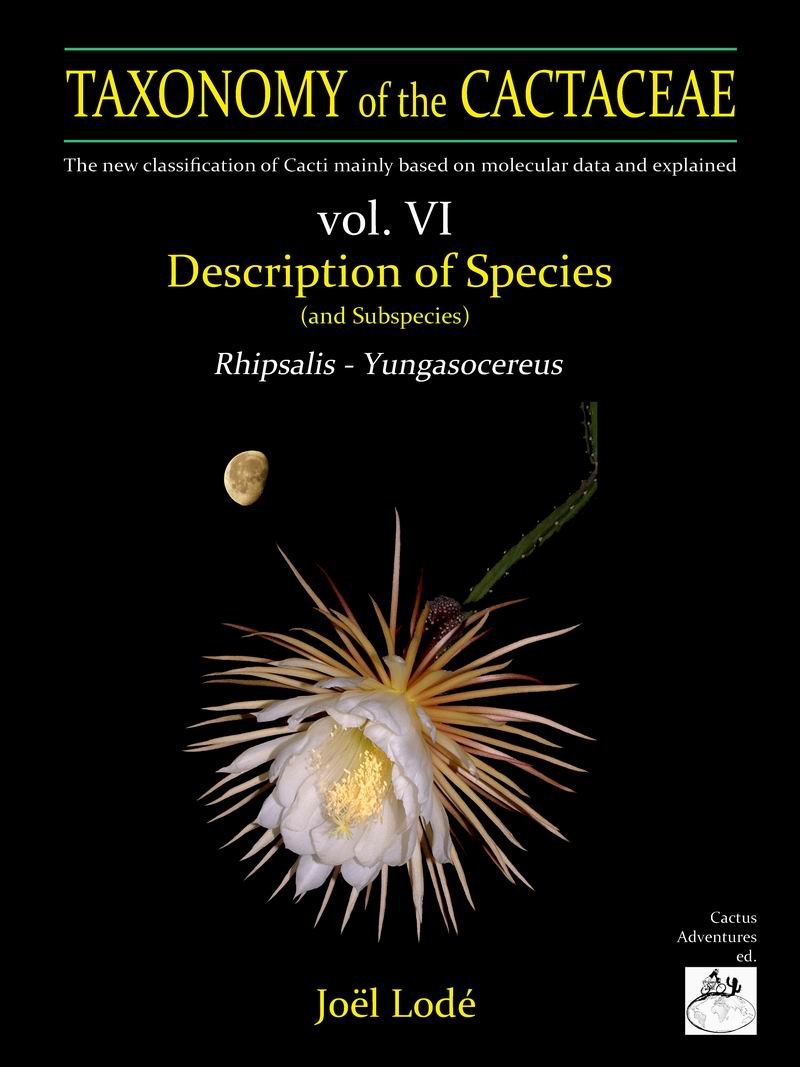 Volume 6