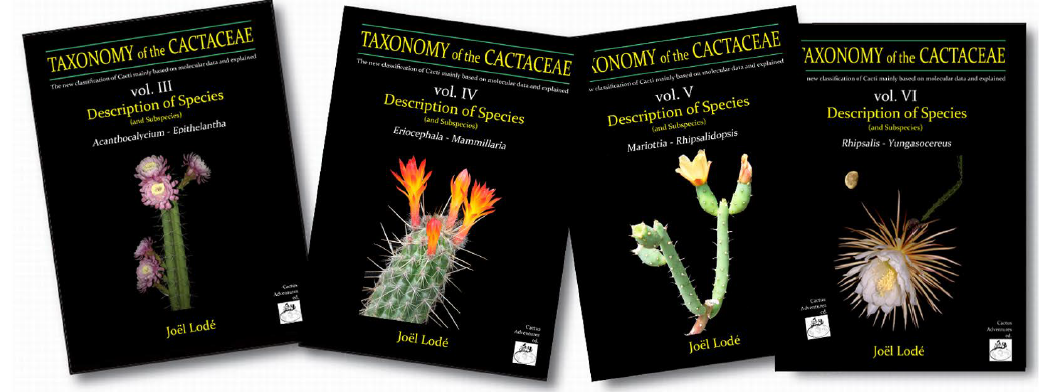 4 Volume Cactaceae Collection
